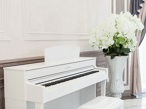 Санаторий «Буковая роща»  г. Железноводск. Концертный зал